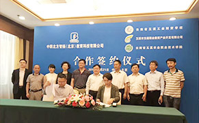 汽车新能源怎么样
