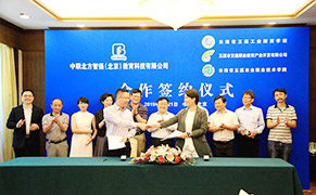 汽车新能源怎么样